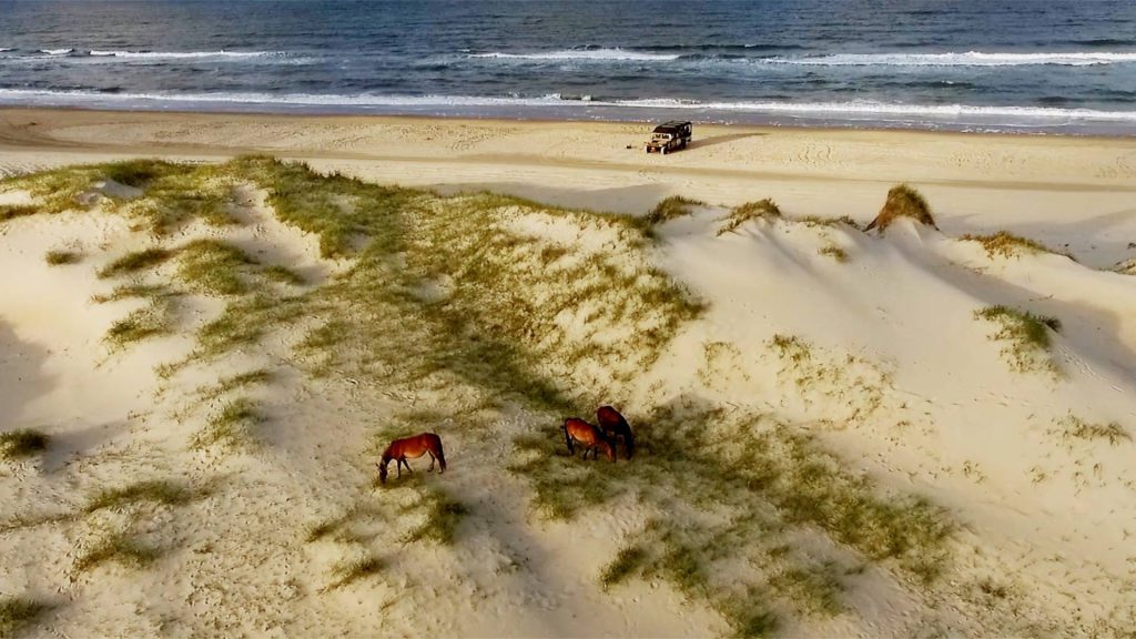 12 Best Things To Do In Currituck Outer Banks 