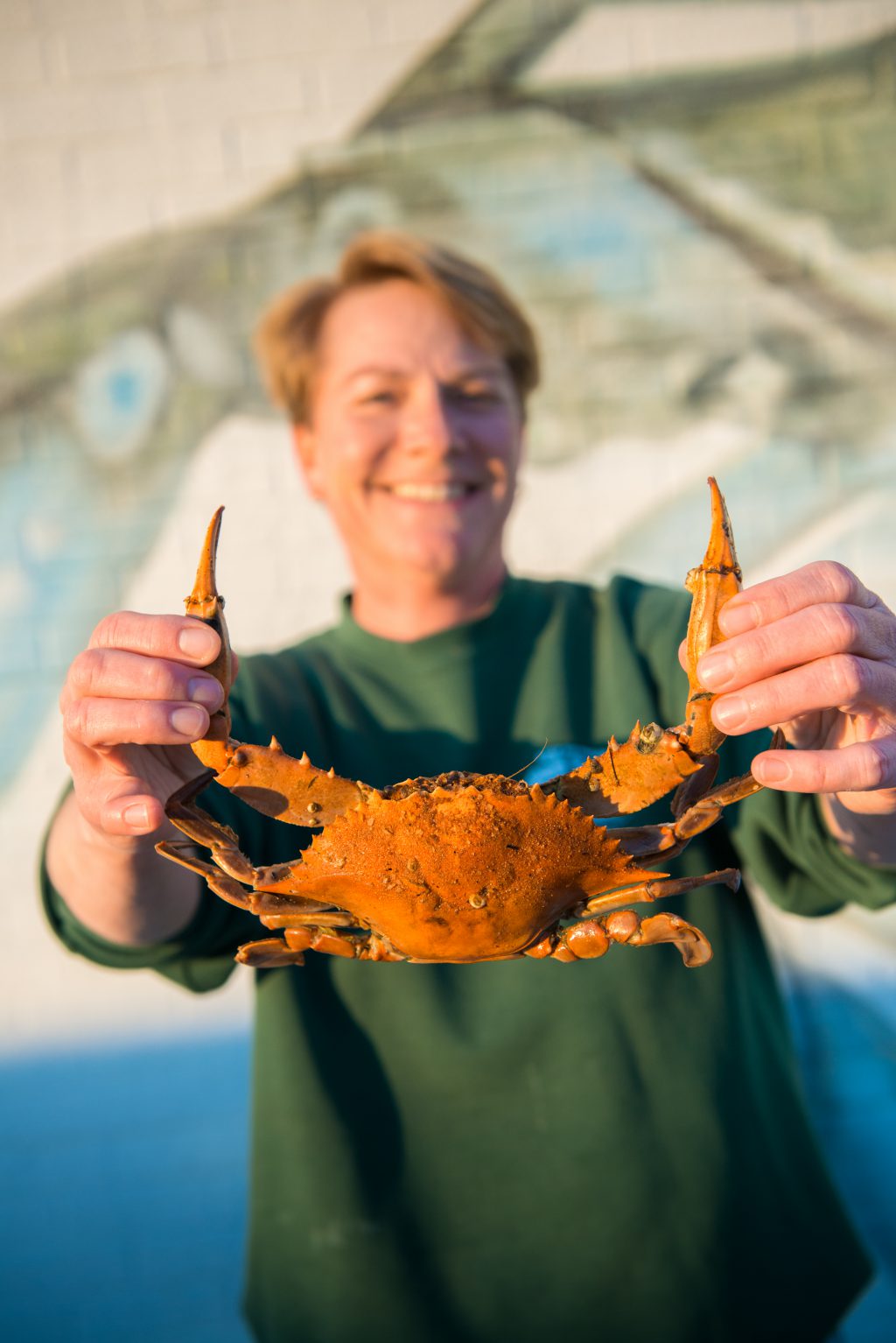 Let's Go Crabbing | The Northern Outer Banks Blog